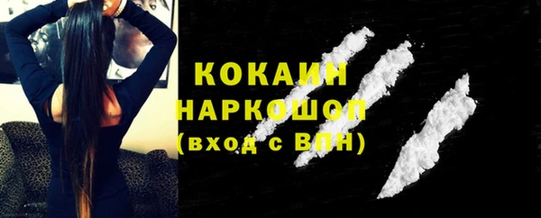 твердый Алексин