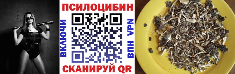 Галлюциногенные грибы Psilocybine cubensis  Белореченск 