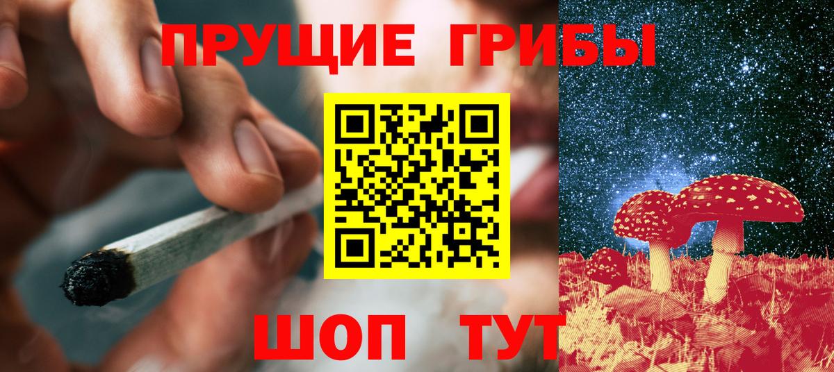 Псилоцибиновые грибы Psilocybine cubensis Белореченск